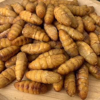 顺丰2021年新鲜蚕蛹金丝蛹活体速冻桑蚕蛹黄金蛹金蝉蛹3斤装默认