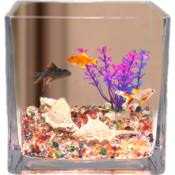 共度方形玻璃鱼缸真实使用感受,真相揭秘入手感受