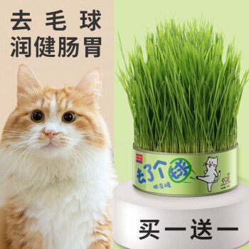 曼力博士猫零食价格走势及推荐