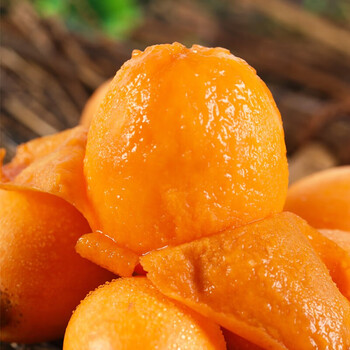 谷雨霖福建云霄新鲜枇杷水果大果四川米易高山枇杷大五星甜枇杷健康轻