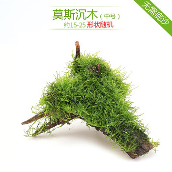 异景园鱼缸水族箱造景水榕沉木活体水草淡水无土植物后景宫廷真水草净水增氧中号莫斯沉木 图片价格品牌报价 京东