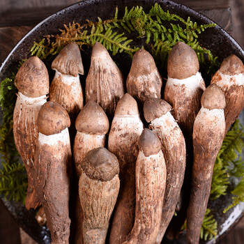 产地空运直发 精选香格里拉野生鸡枞菌500g 新鲜野生菌菇 云南特产