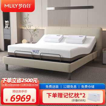 梦百合（Mlily）床 现代简约0压智能床多功能电动可升降主卧床环保双人一体式床 【经典款】智能软床+床垫 1.5米*2米