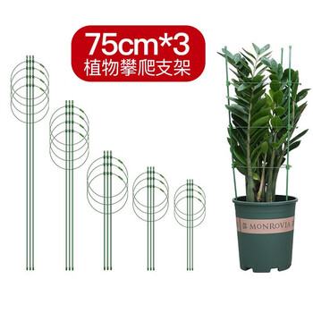 恰好时光植物攀爬支架 恰好时光植物爬藤支架花盆攀爬花架子支撑架蔷薇月季葡萄固定支柱防倒固定架子爬藤架75cm套装 3 园艺支架 行情报价价格评测 京东 恰好时光植物攀爬支架 恰好时光植物爬藤支架花盆攀爬花架子支撑架蔷薇月季葡萄固定支柱防倒固定架子爬藤架75cm套装 3 园艺支架 行情报价价格评测 京东