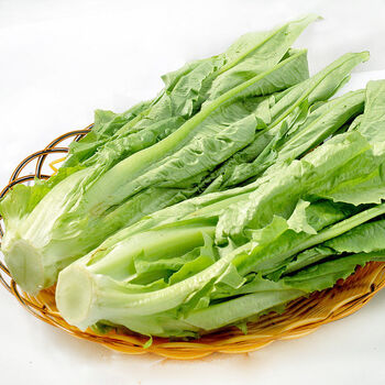 新鲜蔬菜油麦菜青菜可生吃火锅叶菜莜麦菜1斤精选装