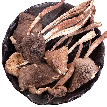 云南野生鸡枞菌干货特产油鸡枞蘑菇干鸡枞菌菇鸡纵菌 野生鸡枞500g