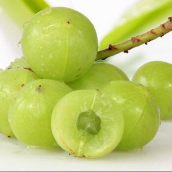 【精选生鲜】金灶新鲜油甘果牛甘果余甘果油柑果新鲜