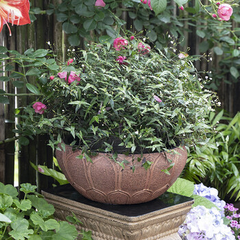 匠心坊户外草坪庭院装饰大象石墩新中式花园动物花盆盆栽装饰品荷荷美美花盆 泥彩 图片价格品牌报价 京东