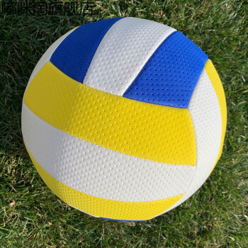 排球中生专用气排球比赛训练沙滩男女轻软儿童初中5号气针网兜5号气