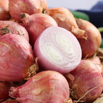 东北毛葱农家种植鬼子葱红葱头新鲜小毛葱 2500g 2500g