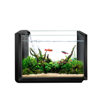 Depontaquadft 100mb 德邦depontaqua 百因美系列 鱼缸超白玻璃小型水族箱造景水草 缸客厅卧室办公桌生态鱼缸炫酷黑不带灯 行情报价价格评测 京东 Depontaquadft 100mb 德邦depontaqua 百因美系列 鱼缸超白玻璃小型水族箱造景水草 缸客厅卧室办公桌生态鱼缸炫酷黑不带灯 行情报价价格评测 京东