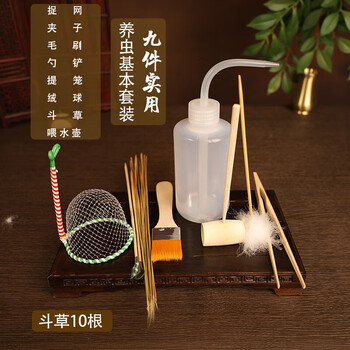 猫和友蛐蛐蟋蟀黑虫油葫芦鸣虫饲养罐用品工具捉网夹子毛刷斗草提笼