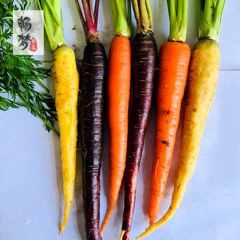 带叶小胡萝卜 手指萝七彩迷彩手指萝卜 沙拉菜 西餐蔬菜 500g