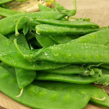 橙伯乐云南菜蔬菜新鲜菜荷兰豆新鲜菜豆角夹豆新鲜嫩现摘批发4斤泡沫