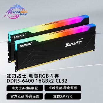 新乐士（SAMNIX）DDR5 5600-8000台式机内存条狂刃战士电竞RGB灯条海力士A-die  32G（16Gx2）6400 C32/XMP黑