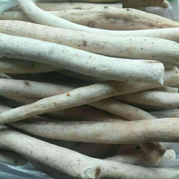 一见起云南苗药中草药中药材泡酒料硬得久精选一见起100g 一见起250克