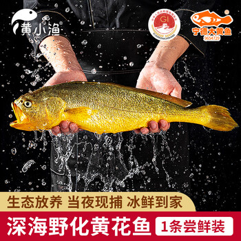 黄小渔 宁德深海冰鲜野化大黄鱼350g/条 黄花鱼生鲜鱼类海鲜源头直发