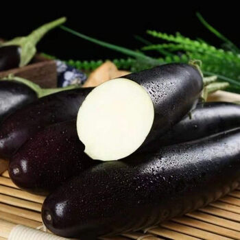 新鲜紫黑长茄批发新鲜蔬菜茄瓜本地现摘圆青茄5斤精选超值现摘现发不