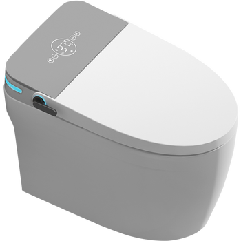 智能马桶品牌（智能马桶产品排名）