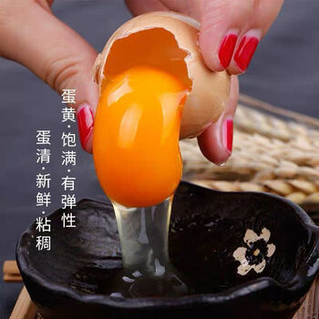 红心散养虫草土鸡蛋浓稠蛋黄香新鲜纯农村草鸡蛋柴鸡蛋笨鸡蛋新鲜 50