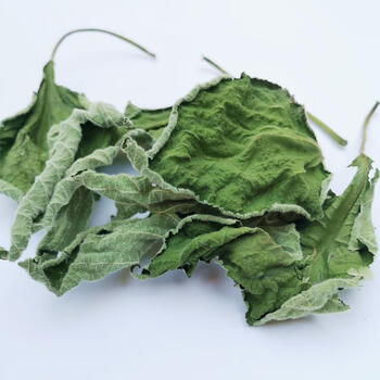 野生楮桃叶褚桃叶构树叶中药材楮树叶桃叶醋桃叶桃树叶 精品1000g