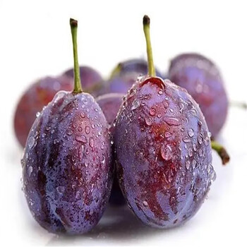 鲜卡滋进口澳洲西梅超甜李子当季孕妇新鲜水果脆甜大果鲜果3斤精选