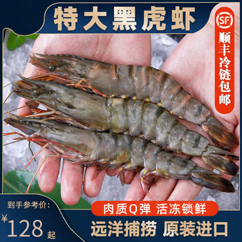 晨臻黑金刚虎虾鲜活速冻超大刺身生腌九节虾老虎虾基围虾冷冻海鲜400g