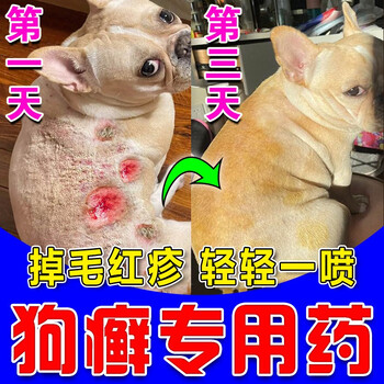 狗狗皮肤病专用药狗癣真菌感染溃烂螨虫狗癣专用药专用消炎抑菌喷剂