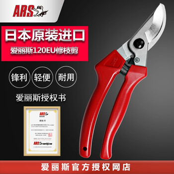 爱丽斯（ARS） 120EU进口修枝剪刀果树剪刀果树剪园林工具剪枝剪刀园艺剪刀 120EU