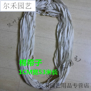 jdnxx手工包边带鸡肠带绑带布带棉带子扁绳子diy辅材麻绳3分鸡肠 1cm
