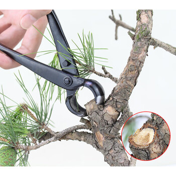 球节剪盆景球节剪球钳盆栽树瘤树节修剪钳园艺花艺制作造型养护工具