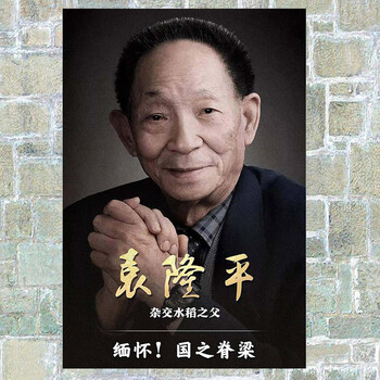 狼天影袁隆平海报墙贴纸杂交水稻之父袁老贴纸科学家名人伟人墙纸写真