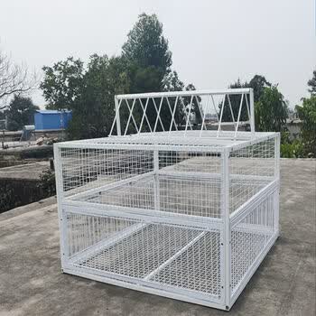 天落笼信鸽只进不出加密抓鸽子笼斑鸠捕鸽神器野外全自动活络门加密款
