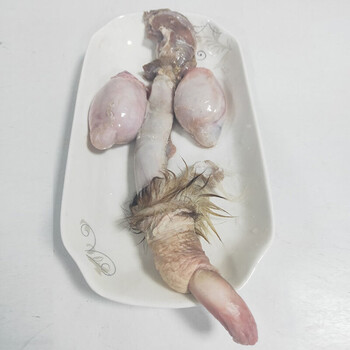 新鲜鹿鞭350克吉林梅花鹿东北双阳鹿乡真品男性泡酒整根净鞭辉导350