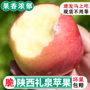 鲜福林陕西礼泉红富士苹果 当季新鲜水果 大果净重4.5-5斤 （约9个）