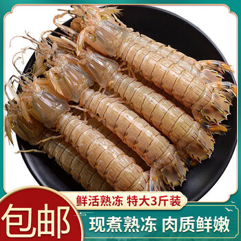茗老汉3斤皮皮虾鲜活熟冻特大虾爬子超大新鲜蒸熟冻虾姑发生鲜虾类1斤