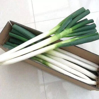山东铁杆大葱新鲜安丘大葱特价细葱批发特价大葱带皮去半叶特惠装5斤