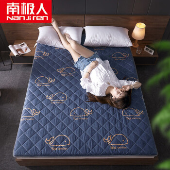 南极人床垫/床褥:优质健康,价格趋势解析