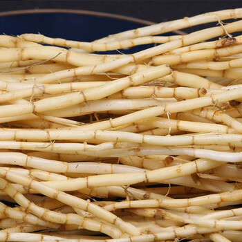 白茅根500克g 新鲜野生茅草根竹蔗马蹄茅根水毛根凉茶中草药食材 新鲜