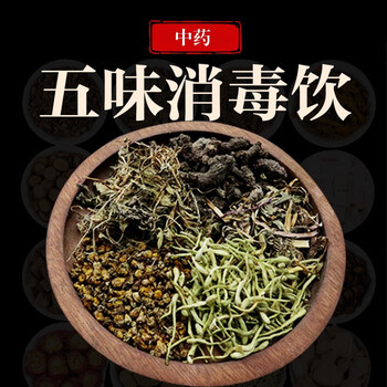 荣清堂 五味消毒饮 子 抓中药材拍方抓药 14剂 自煎
