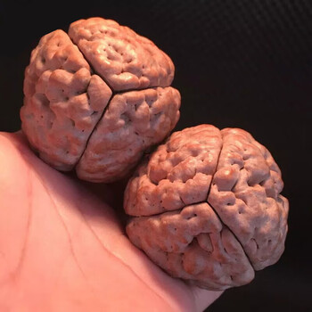 bomp铁锤核桃文玩脑纹三瓣大金刚恐龙蛋铁蛋钢炮菩提手球鬼脸驴4446三