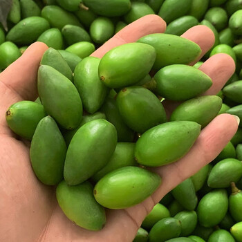 皓谦甜橄榄潮汕青橄榄新鲜橄榄果檀香特甜种青果生吃孕妇水果现摘当季