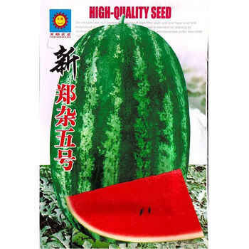 菜友新郑杂五号西瓜种子 农家种植早熟品种丰产红甜度高红壤西瓜种子