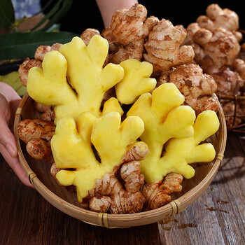 农多鲜（NONGDUOXIAN） 2023年云南小黄姜 新鲜现挖现发 火锅食材 产地直供 小黄姜 1斤 云南小黄姜