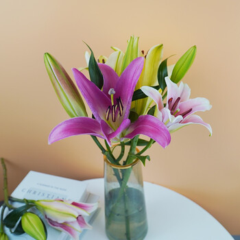 远方的花百合花鲜花随机色百合10个花苞 图片价格品牌报价 京东 远方的花百合花鲜花随机色百合10个花苞 图片价格品牌报价 京东