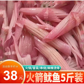 晨臻火箭鱿鱼重庆火锅食材配菜新鲜鱿鱼鲜活冷冻海鲜烧烤水发网红鱿鱼