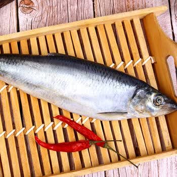 好物推荐 鲜美惊沙丁鱼青鱼新鲜青占鱼海鲜海产品海捕青鱼生300 400克 条3斤送2斤 共5斤 300 400g 条 图片价格品牌报价 京东