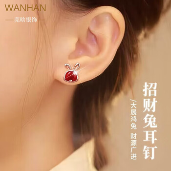 莞晗耳饰:时尚设计与价格走势的完美契合