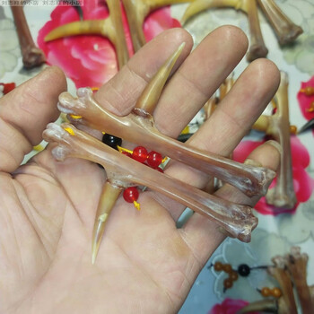 鸡爪骨文玩头拐子骨头男士随身手玩把件爪骨手把件鸡 u24-o64-g2四