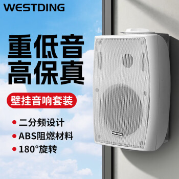 威斯汀（WESTDING）B05 音响 音箱 高保真壁挂式喇叭会议式音响（白色）